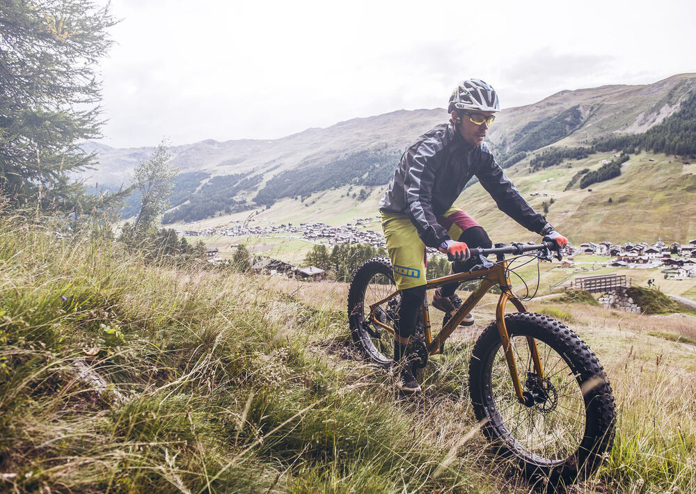 Fat bike