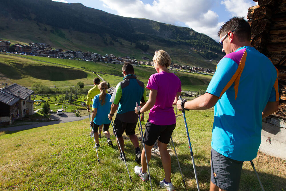 Cross-country skiing and Nordic walking