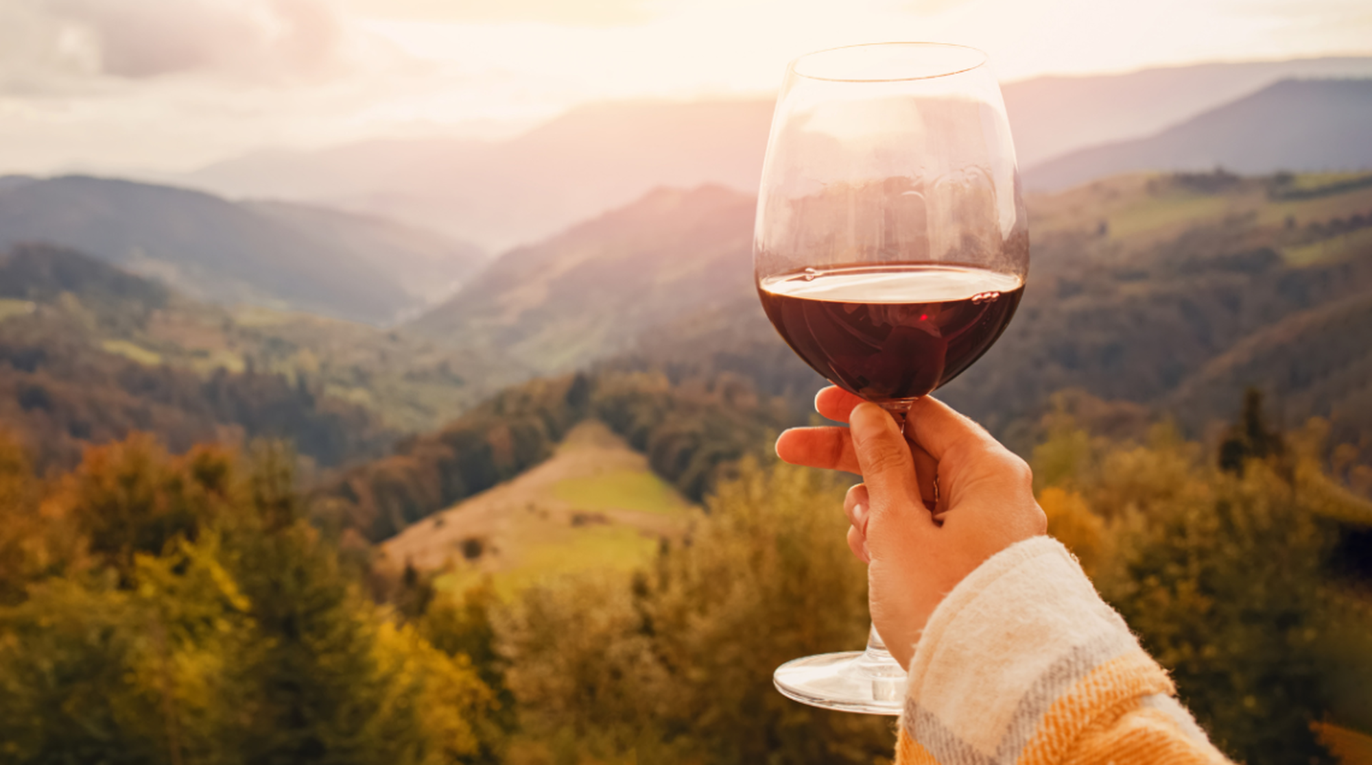 Natürliche und handwerklich hergestellte Weine, ein revolutionärer Ansatz