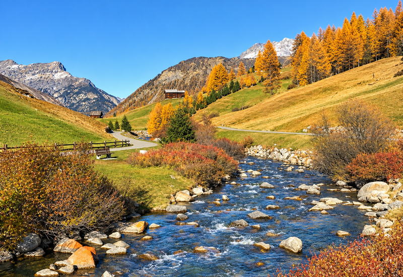 Experience the magic of autumn and its wonderful colours at Hotel Mota